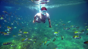 Important Details About Snorkeling Espiritu Santo Island